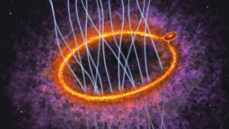 Estudo revela anéis de luz em estrelas em formação no espaço