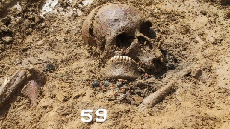 Estudo de DNA revela detalhes da vida após a queda do Império Romano