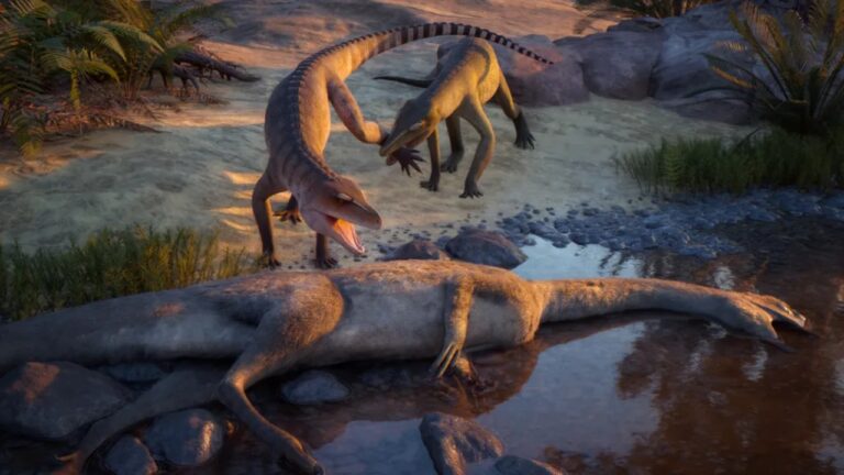 Fóssil esquecido por 75 anos em museu revela ancestral terrestre do crocodilo
