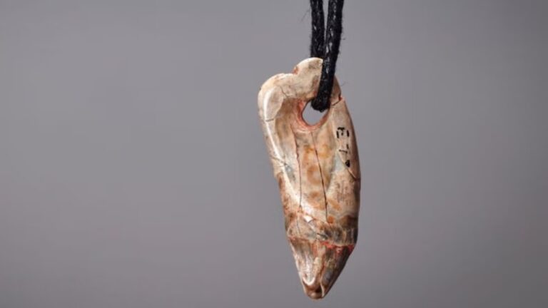 Arqueólogos encontram pingente de dente de foca de 15 mil anos