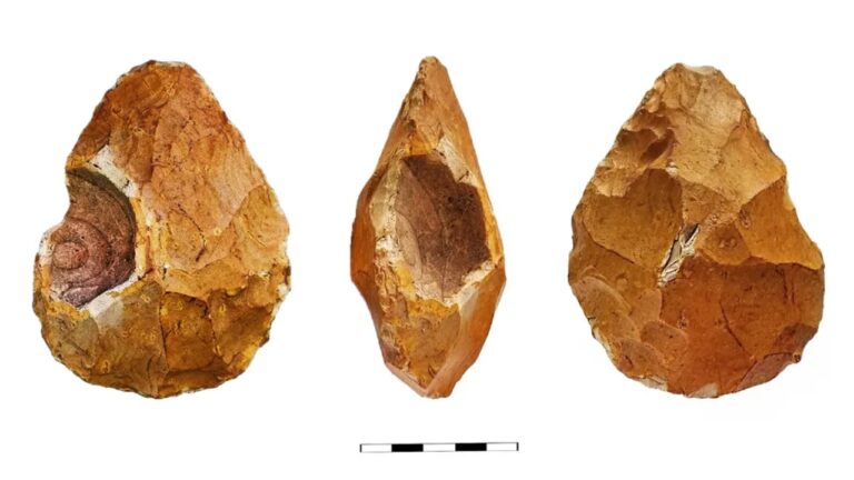 Homo erectus usavam fósseis e geodos como ferramentas com possível valor simbólico