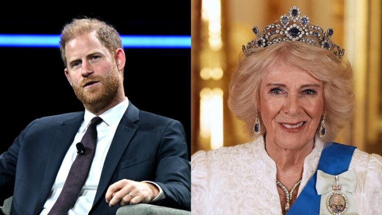 Biógrafo real afirma que Rainha Camilla impede paz entre Harry e Charles