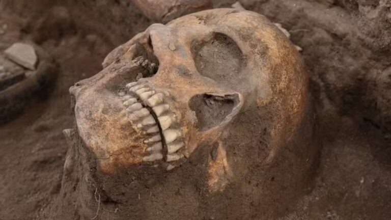 Do altar tolteca à ficção: Como rituais antigos moldam nossa identidade?