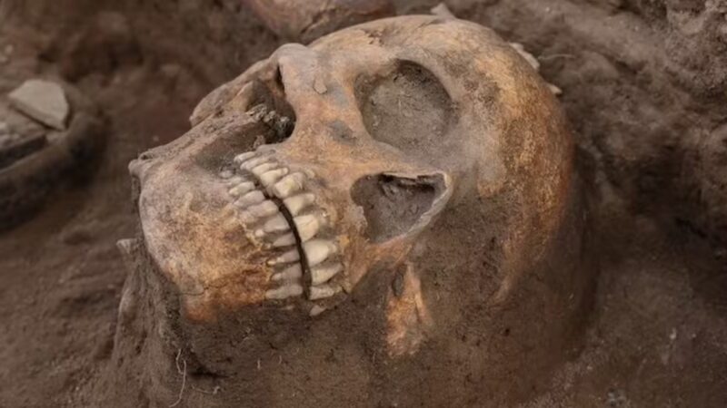 Do altar tolteca à ficção: Como rituais antigos moldam nossa identidade?