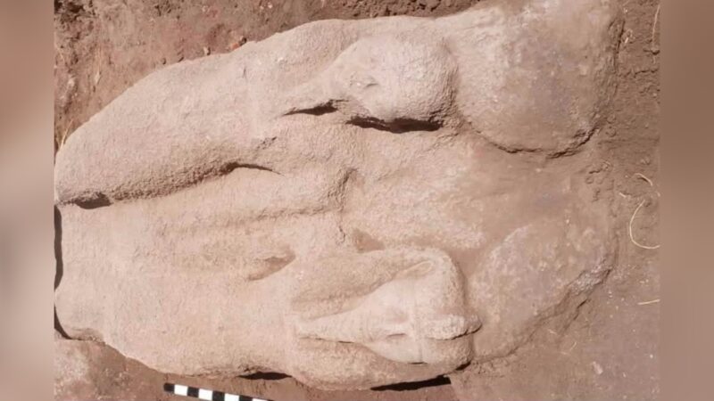 Estátua de Ramsés II descoberta no Egito demonstra reutilização de monumentos reais