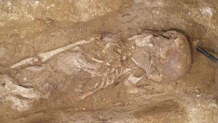 Análise de DNA revela origem diversa e religião incerta de homem na Espanha medieval