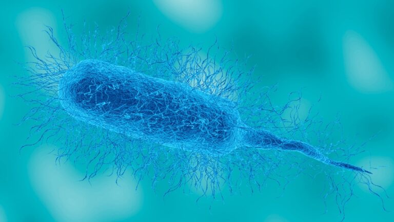 Bactéria que causa infecção grave avança nos EUA