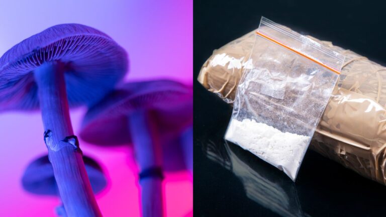 Substâncias psicodélicas podem ajudar tratamento do vício em cocaína