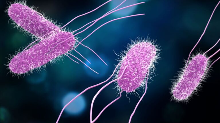 Crise climática está acelerando resistência a antibióticos no mundo