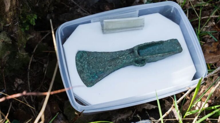 Cabeça de machado de 3,4 mil anos é encontrada por homem e seu cão em floresta inglesa