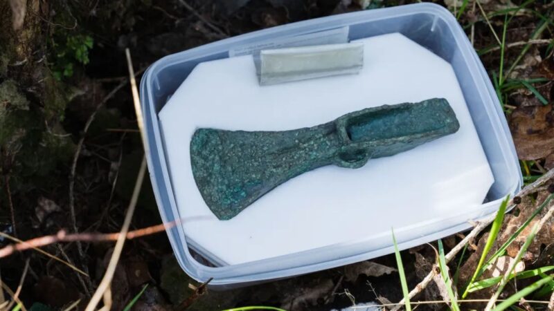 Cabeça de machado de 3,4 mil anos é encontrada por homem e seu cão em floresta inglesa