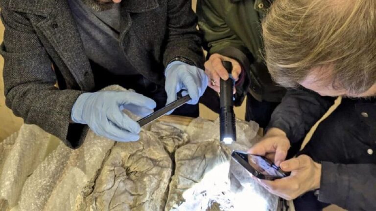 Bebês enterrados em tecidos roxos há 1700 anos teriam pertencido a famílias da elite