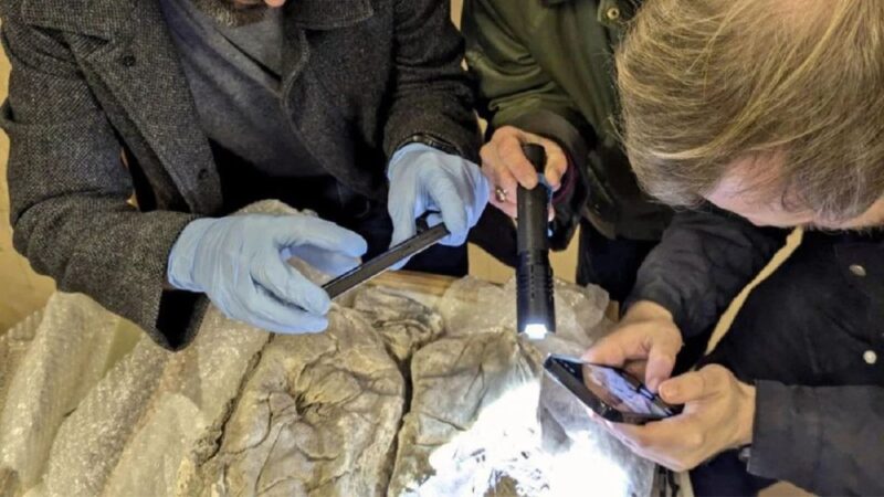 Bebês enterrados em tecidos roxos há 1700 anos teriam pertencido a famílias da elite