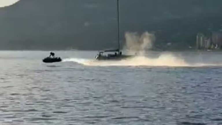 Jet ski colide com baleia e piloto é arremessado; caso ocorreu no Canadá