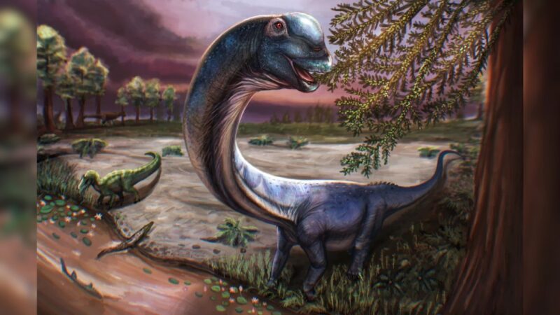 Dinossauro gigante com peso de nove elefantes é descoberto na Tailândia