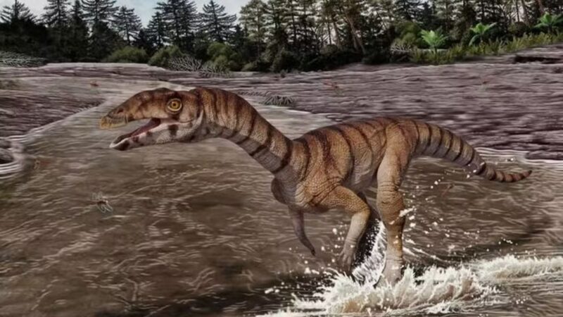 Primo dos crocodilos que viveu há 200 milhões de anos não tinha dentes, descobrem cientistas