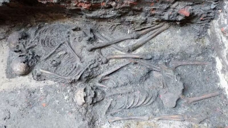 Esqueletos abraçados há 800 anos intrigam arqueólogos