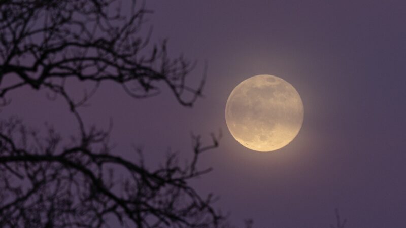 Lua Azul e microlua rara ilumina o céu neste fim de semana