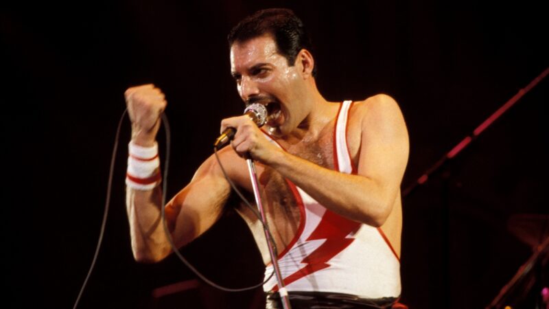 Viúvo da suposta filha secreta de Freddie Mercury promete revelar fotos sobre relação