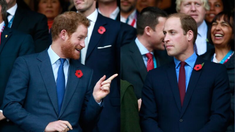 fotografia editada de Harry e William em um jogo de rugby
