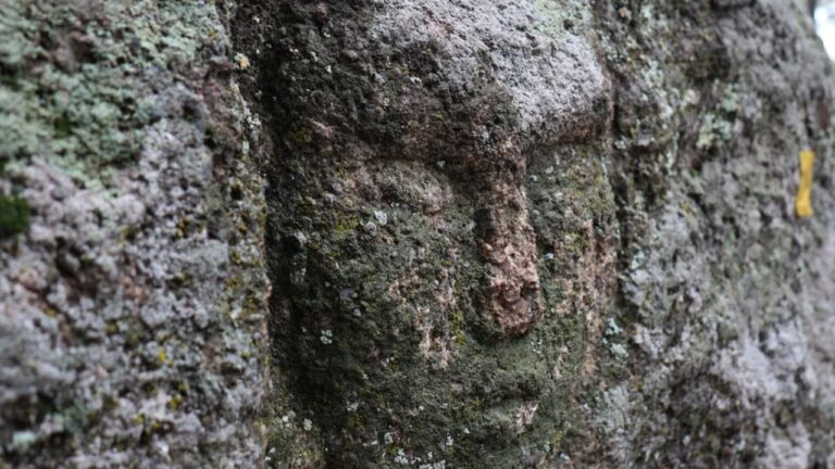 Relembre a descoberta de um rosto em pedra no Cazaquistão
