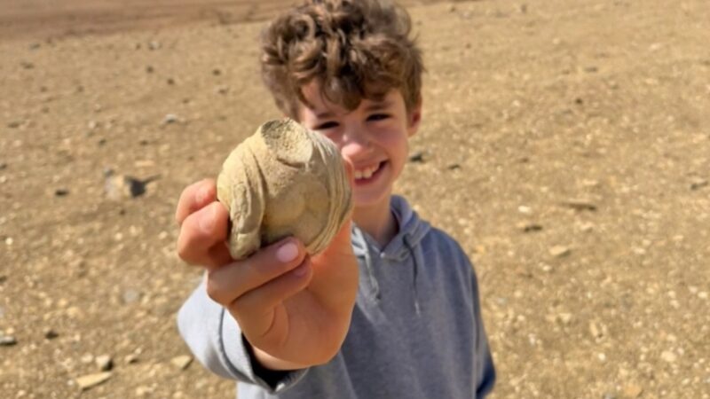 Menino de 8 anos descobre parte de estatueta romana de 1.700 anos em Israel