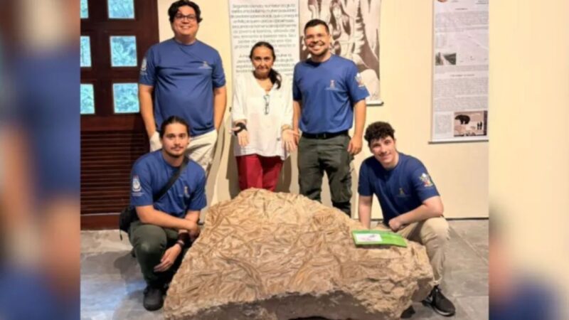 Fotografia do rochedo com os fósseis de invertebrados