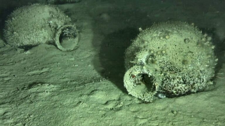 Naufrágio na Itália revela comércio de vinhos da Antiguidade no Mediterrâneo
