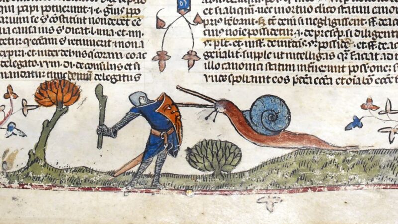 Iluminura medieval com homem armado enfrentando caracol guerreiro
