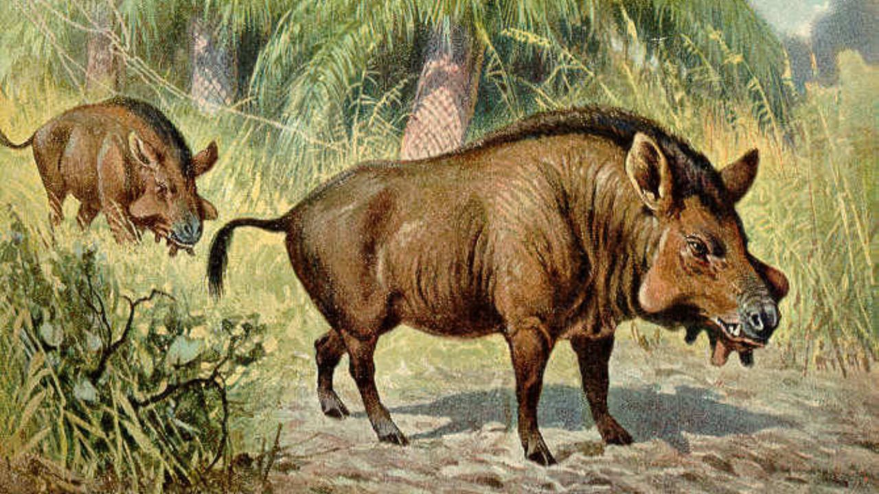 Animais pré-históricos