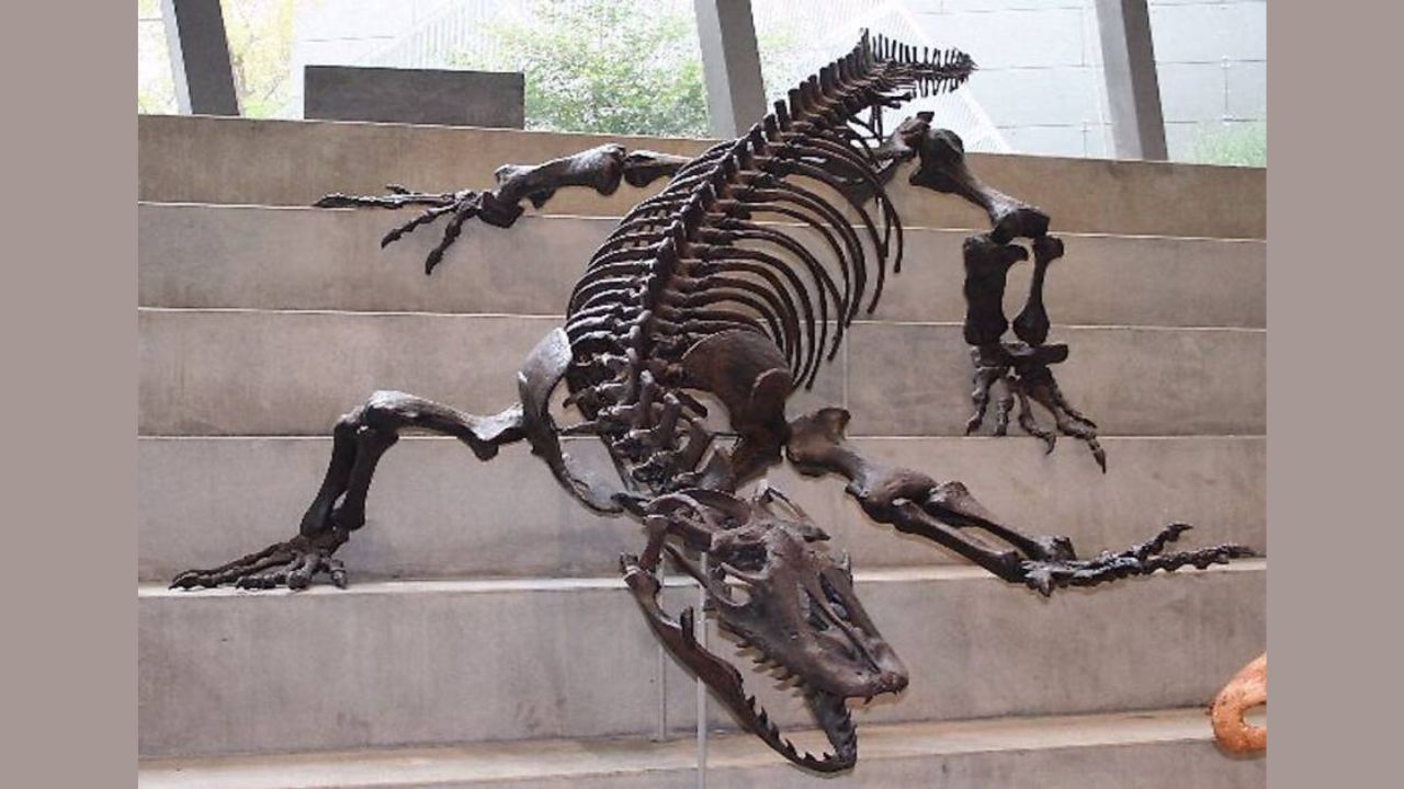 Animais pré-históricos