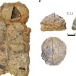 Nova datação revela que capacetes encontrados na Espanha são do período medieval