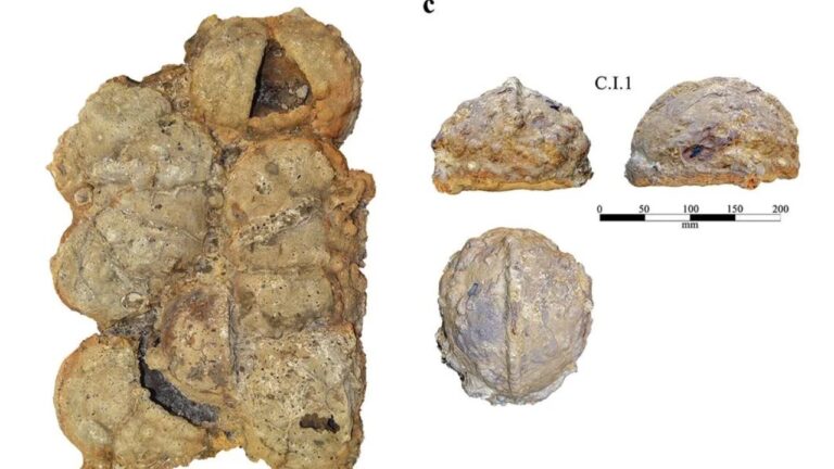 Nova datação revela que capacetes encontrados na Espanha são do período medieval