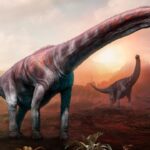 Qual o maior dinossauro que já existiu? Saiba o que paleontólogos dizem sobre o tema