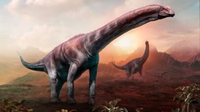 Qual o maior dinossauro que já existiu? Saiba o que paleontólogos dizem sobre o tema