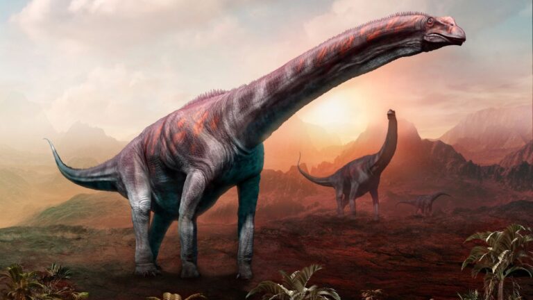 Qual o maior dinossauro que já existiu? Saiba o que paleontólogos dizem sobre o tema