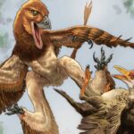 Primo do velociraptor que viveu na China há 120 milhões de anos era semelhante a um dragão