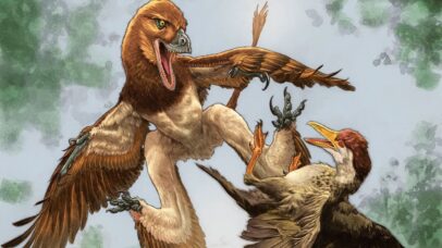 Primo do velociraptor que viveu na China há 120 milhões de anos era semelhante a um dragão
