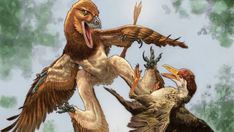 Primo do velociraptor que viveu na China há 120 milhões de anos era semelhante a um dragão