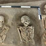 Cemitério greco-romano e sepultamentos de javalis são encontrados no Egito