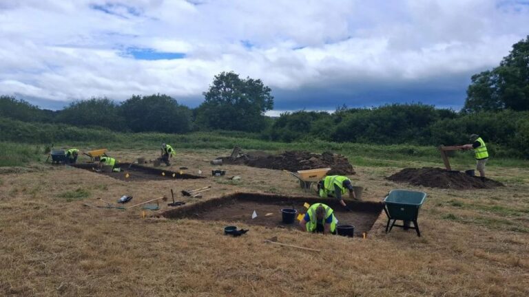 Arqueólogos encontram o que acreditam ser o maior assentamento viking da Irlanda