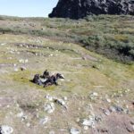 Vestígios de micróbios humanos de 4.500 anos são encontrados em antigos lixões na Groenlândia
