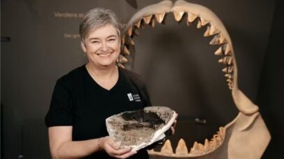 Redescoberta de fóssil revela verdadeiro tamanho do megalodon