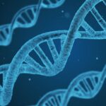Novo estudo desafia dogma da evolução e revela força das mutações