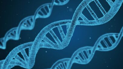 Novo estudo desafia dogma da evolução e revela força das mutações