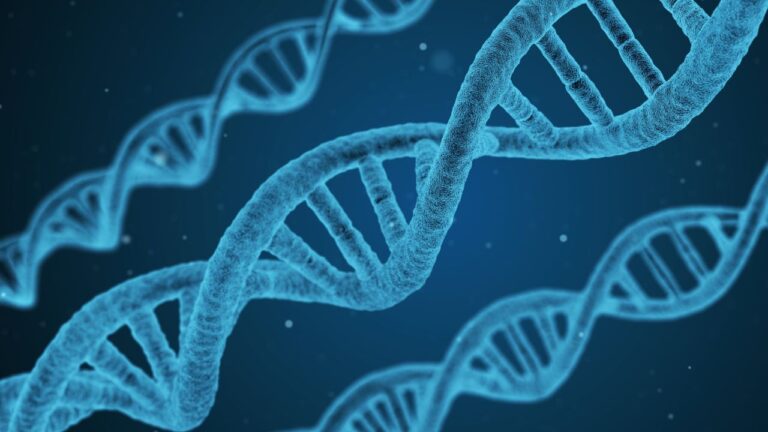 Novo estudo desafia dogma da evolução e revela força das mutações