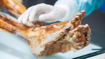 Cientistas revivem levedura de múmia milenar para criar pão artesanal