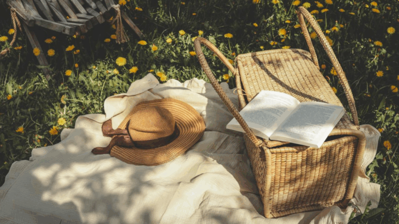 Livro nacional entra em lista de leituras de verão do New York Times