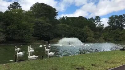 Governo investiga zoológico no RS após morte misteriosa de 40 animais
