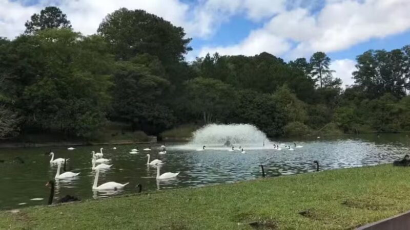 Fotografia de zoológico do RS com morte de 40 animais